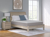 Bay Furniture Gallery - Ashley Furniture - Terra Sleep Firm Mattresses - Queen / White - M52231
